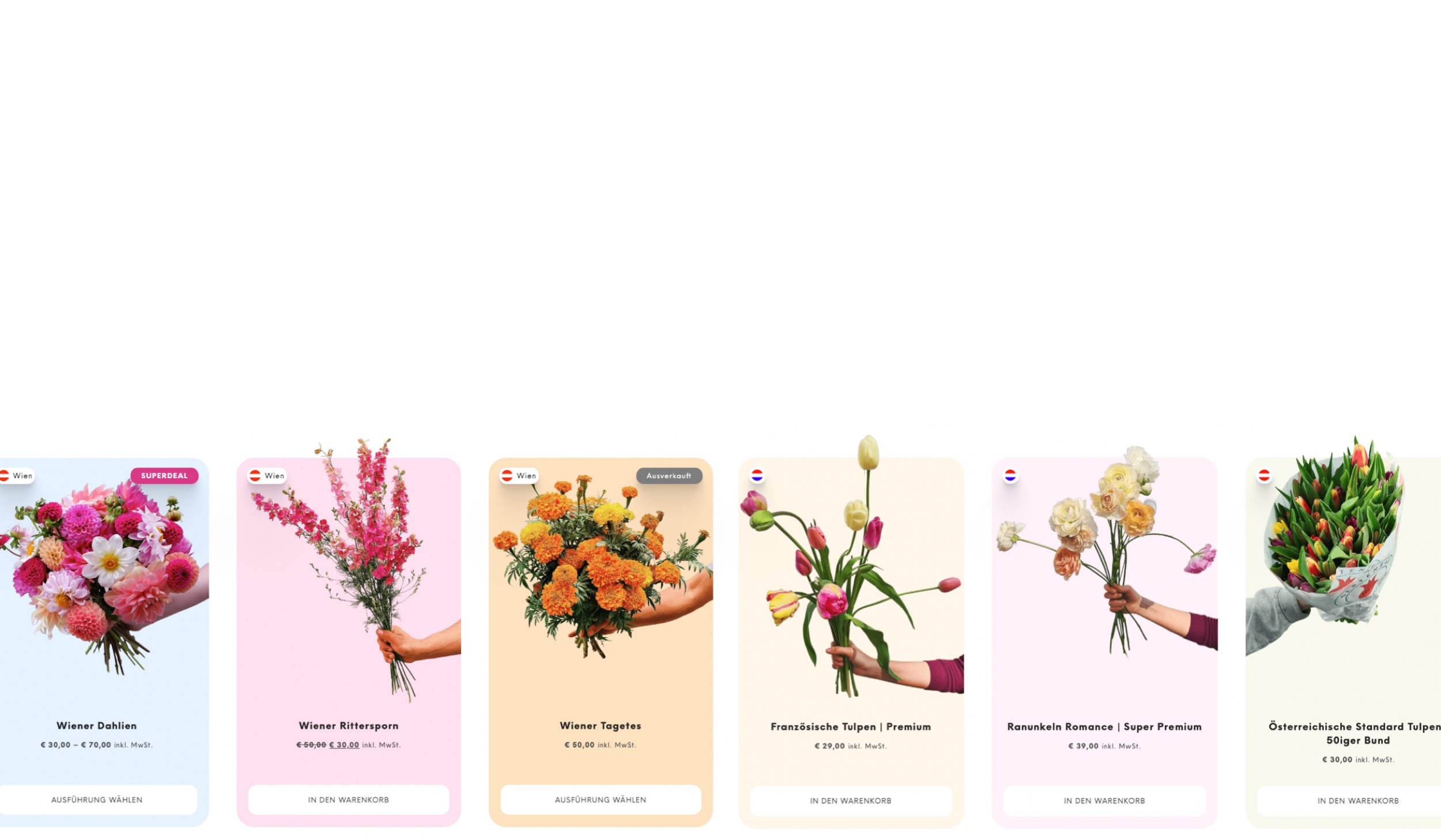 Anton Waldburg DollsBlumen Wien Screendesign 2