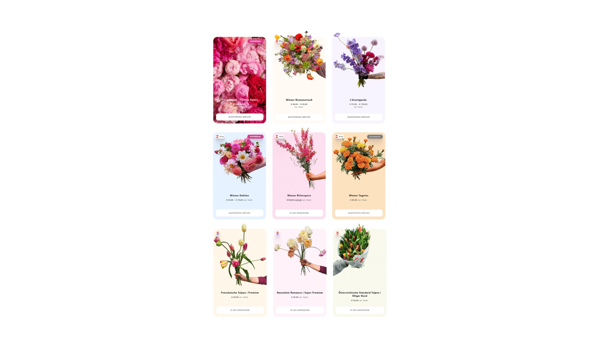 Anton Waldburg DollsBlumen Wien Screendesign 4